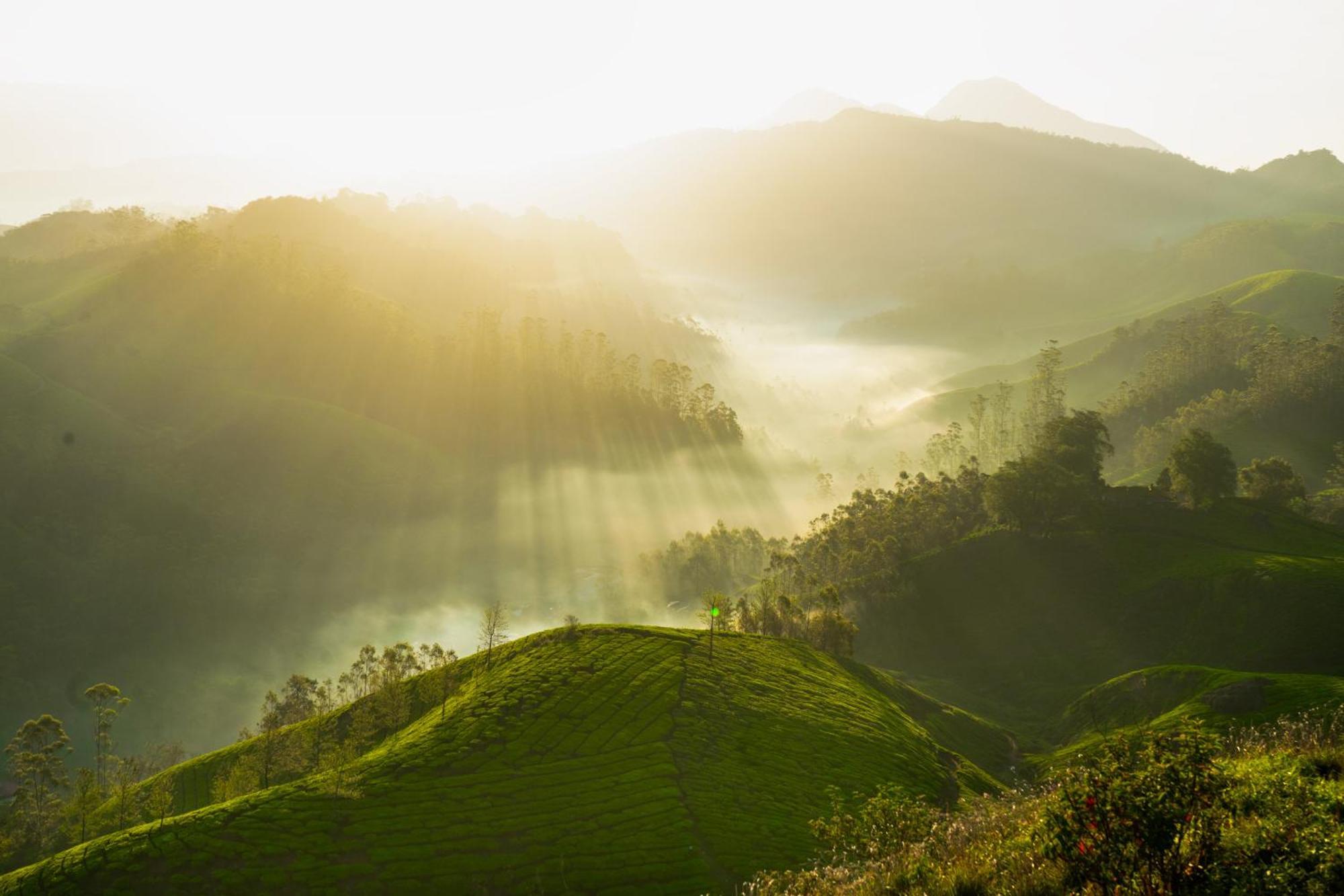 Camelot Resort Munnar Exteriör bild