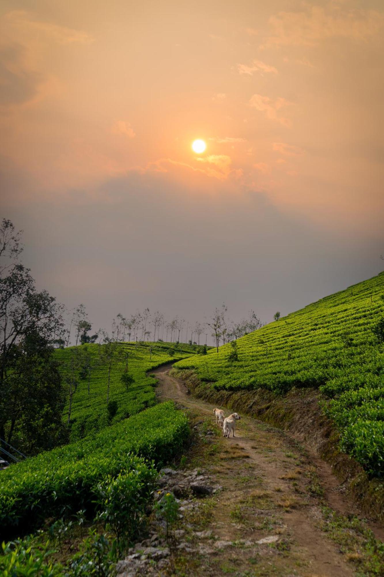 Camelot Resort Munnar Exteriör bild